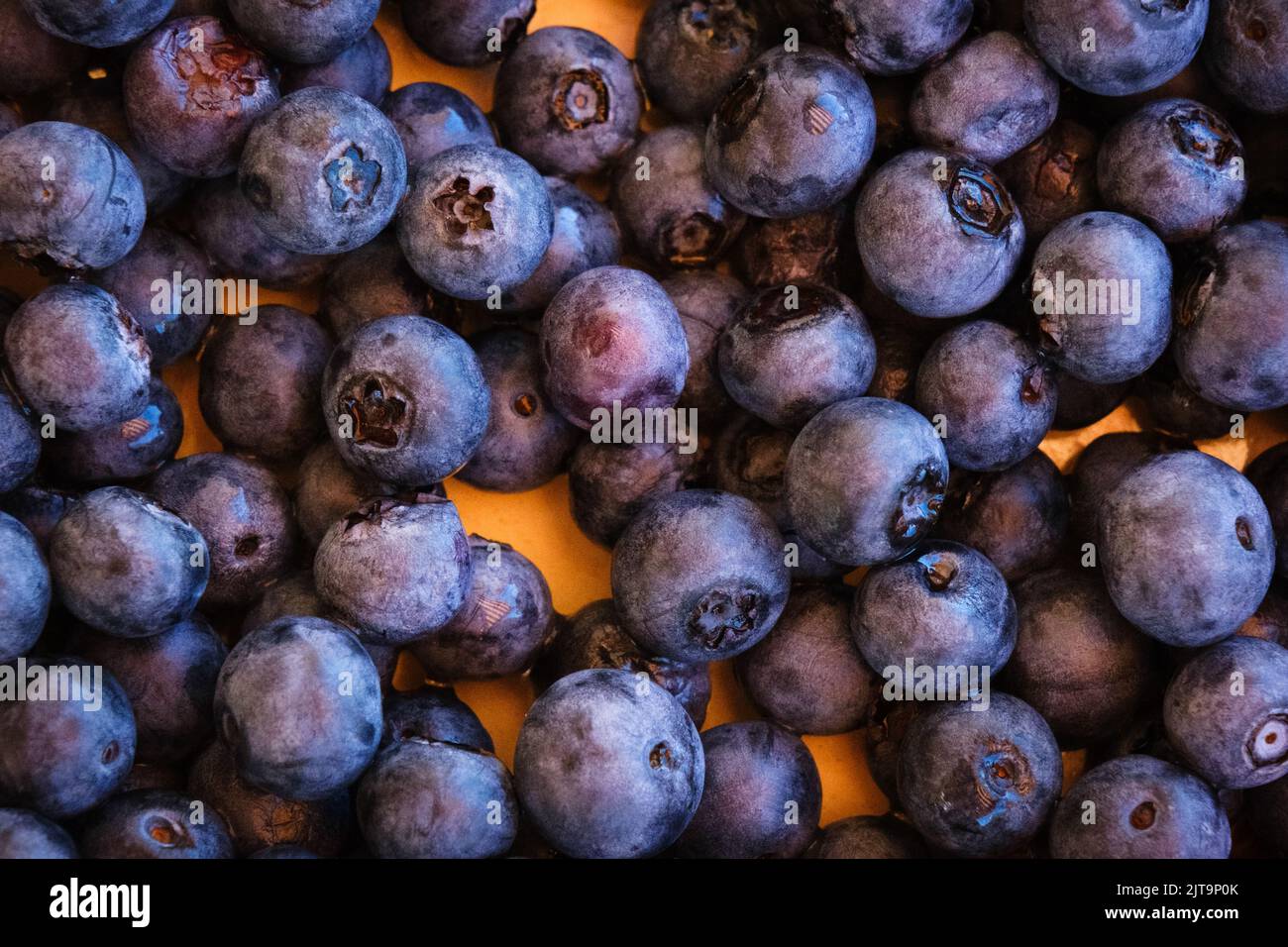 Arándanos púrpura maduros en el mercado orgánico stall, jugoso patrón y textura de bayas azules, alimentos naturales, fondo, dieta saludable. Foto de stock