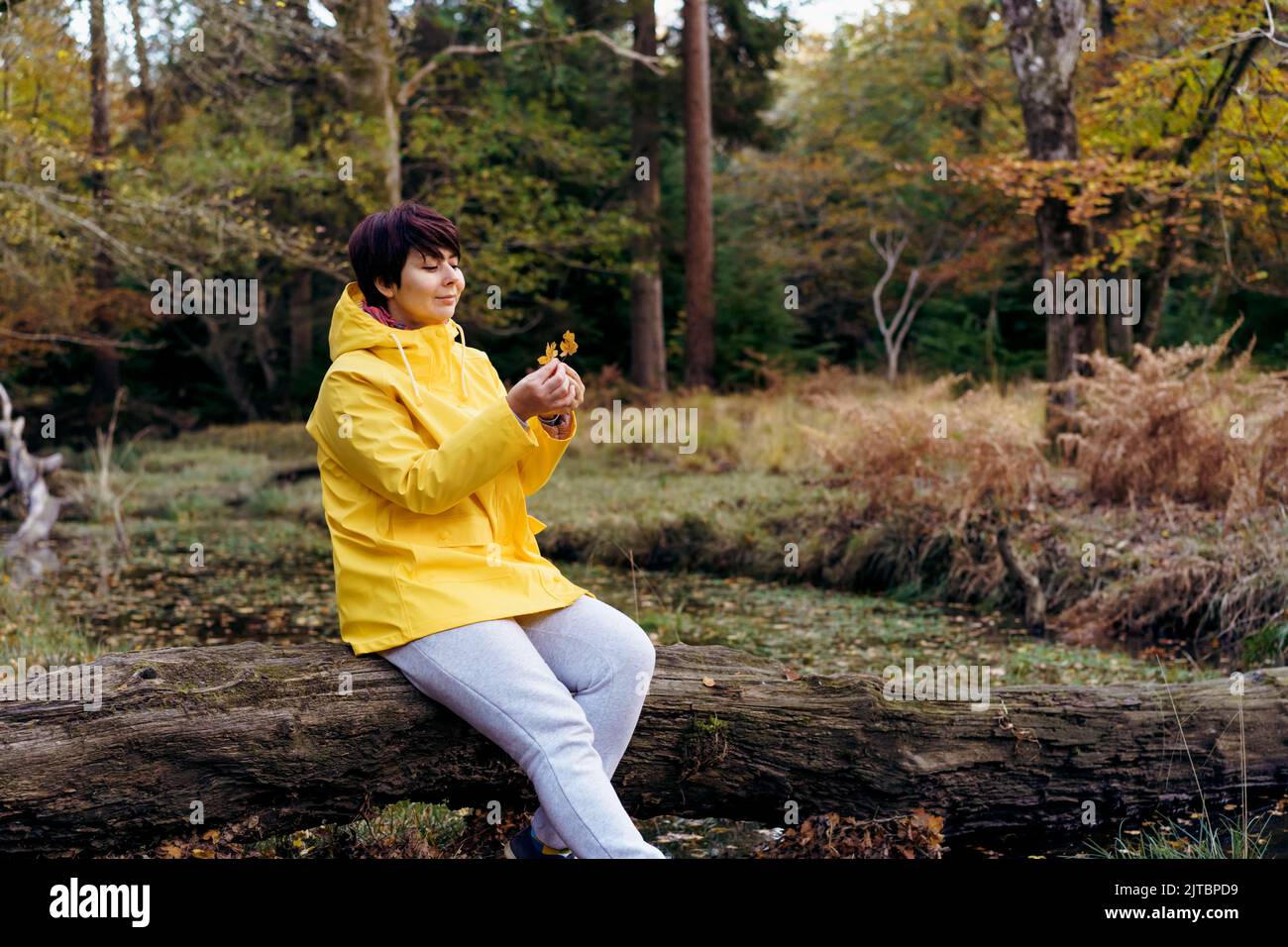 Mujer con chubasquero amarillo brillante sentada en un árbol caído con  hojas caídas y disfrutando del momento en el bosque. Sensación de armonía,  reunión con natur Fotografía de stock - Alamy