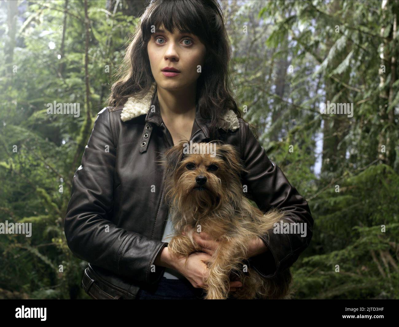 Zooey deschanel dog tin man fotografías e imágenes de alta resolución