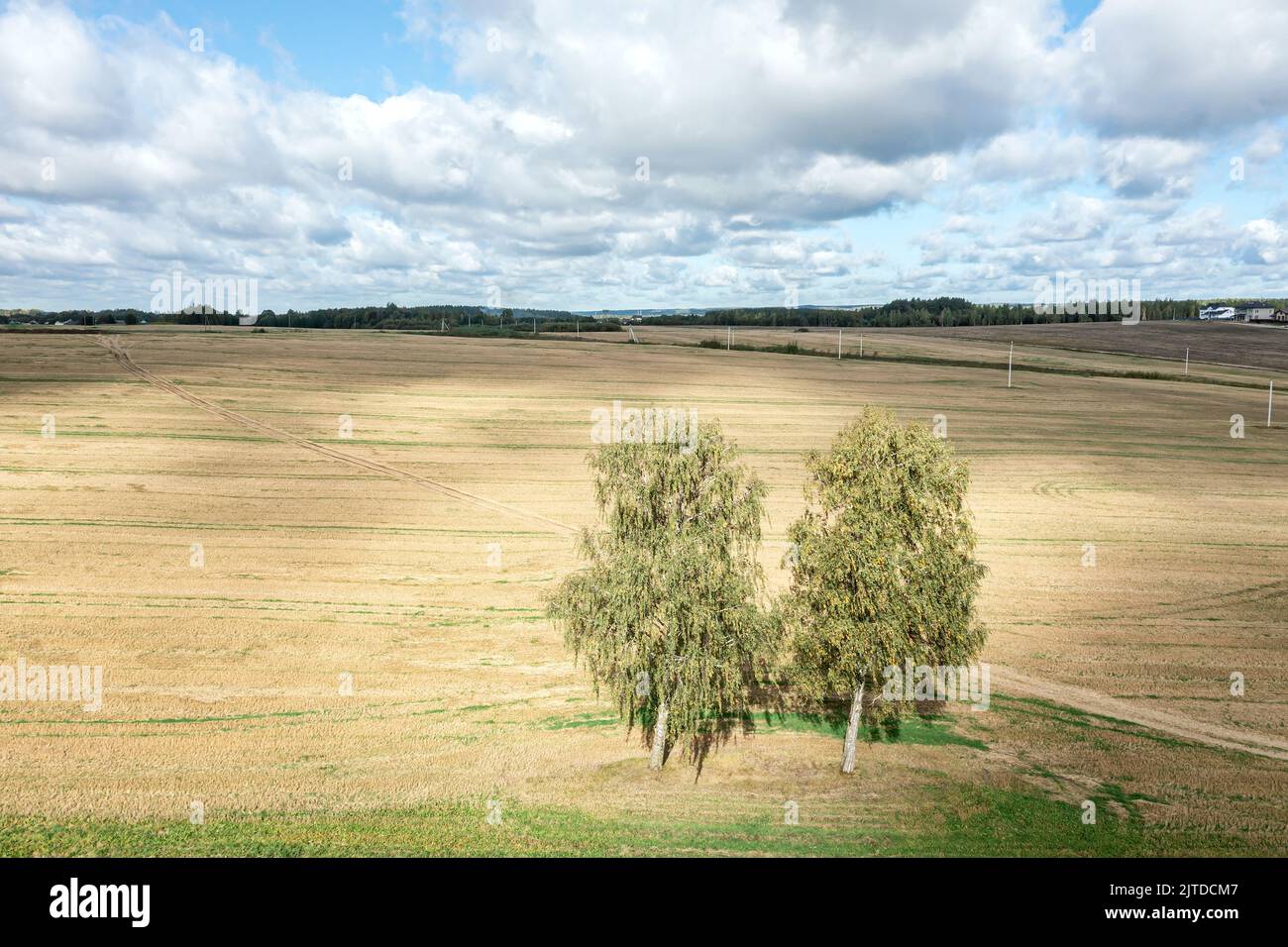 vista aérea de la finca en día soleado. campo de trigo amarillo después de la cosecha. Foto de stock