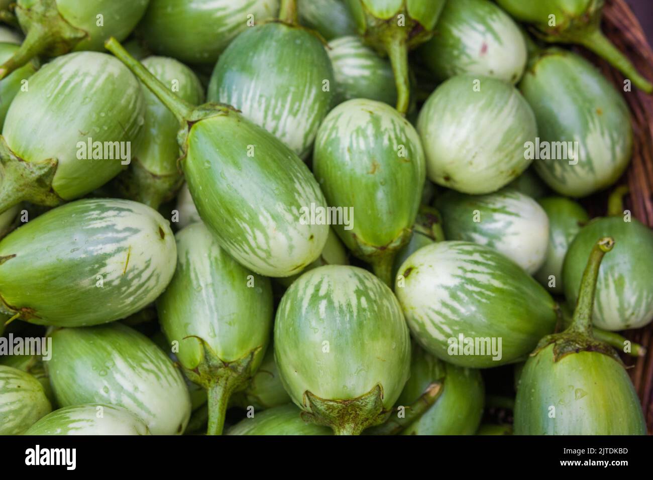 Las hortalizas son una de las principales fuentes de ingresos para los agricultores de Bangladesh. Anteriormente era sólo para el consumo de los hogares, pero ahora se convierten en cultivos comerciales. Foto de stock