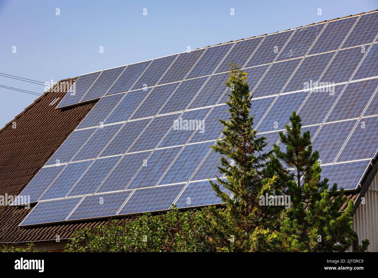 Solar tree house fotografías e imágenes de alta resolución - Alamy