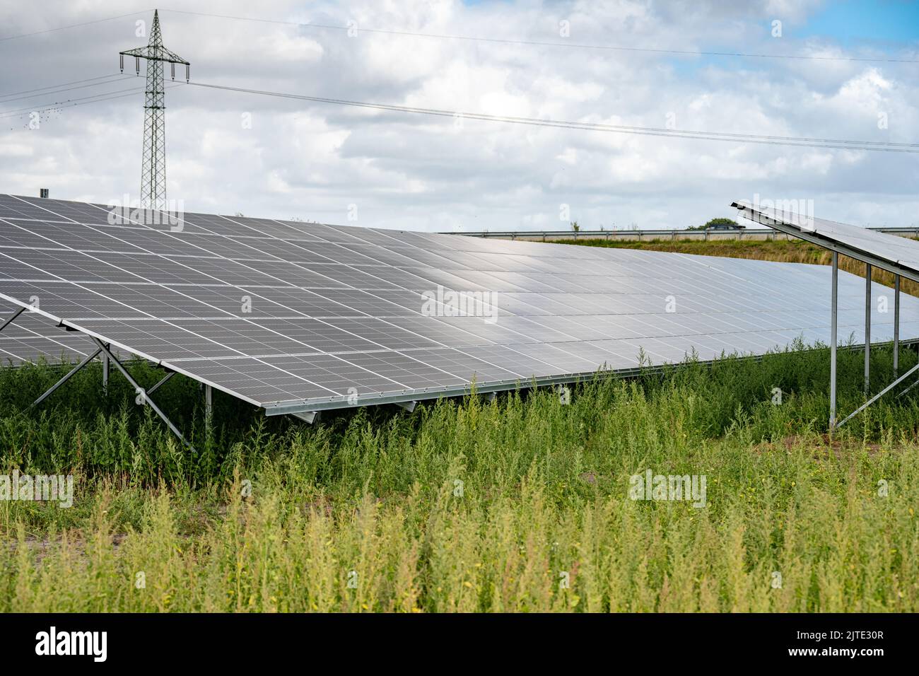 Fotovoltaikanlage zum erzeugung, von Grünem Strom auf einem Feld en Schleswig-Holstein Foto de stock