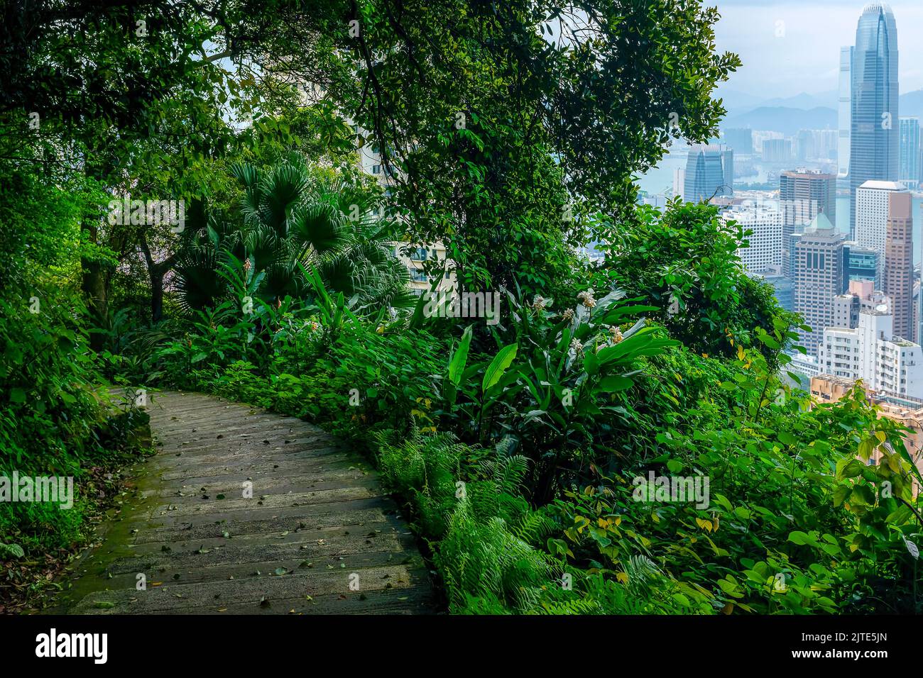 WAN Chai Green Trail to the Peak, Hong Kong China Foto de stock