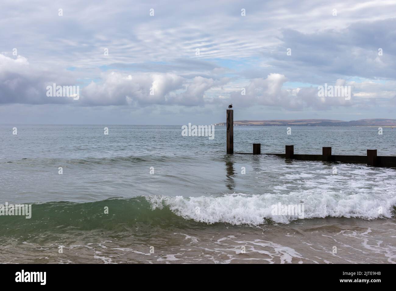 Groyne marcador en el mar en la playa de Bournemouth en verano Foto de stock