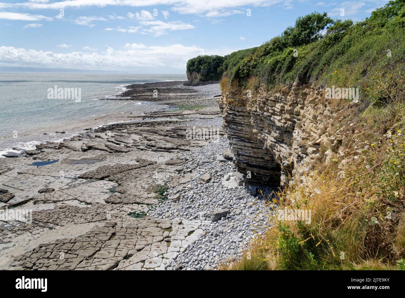 Pavimento de piedra caliza y acantilados de mar con capas de rocas, Glamorgan Heritage Coast, cerca de St. Donat's, Gales del Sur, Reino Unido, Agosto. Foto de stock
