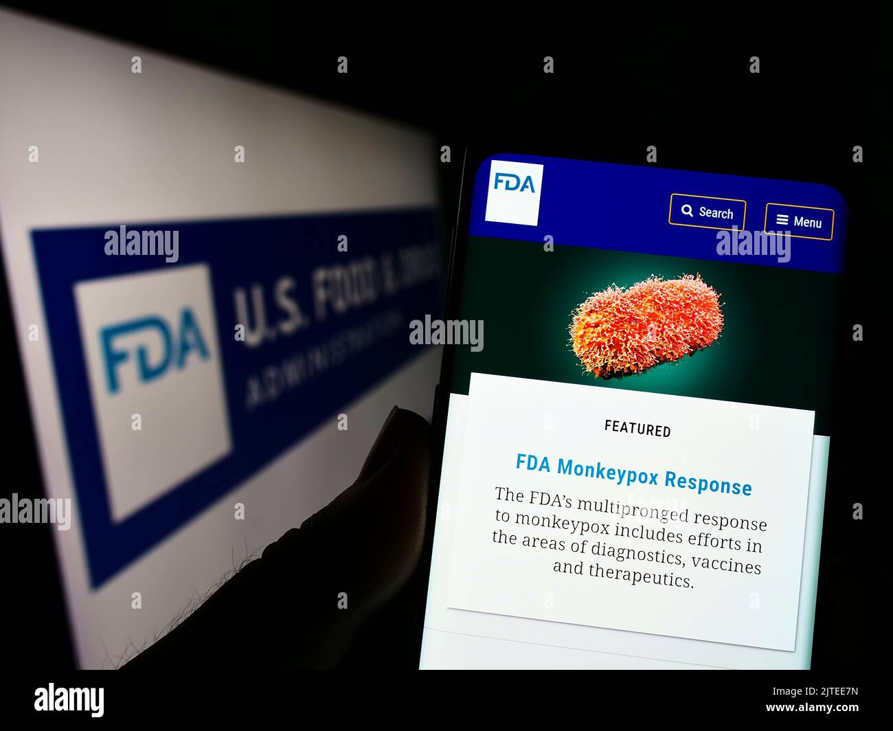 Persona que sostiene un teléfono celular con el sitio web de la Administración de Alimentos y Fármacos de los Estados Unidos (FDA) en la pantalla con el logotipo. Enfoque en el centro de la pantalla del teléfono. Foto de stock