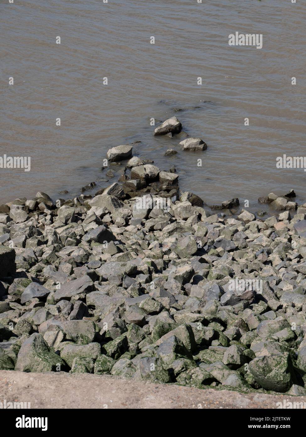 Piedras y adoquines en el agua del río Scheldt en Bélgica Foto de stock