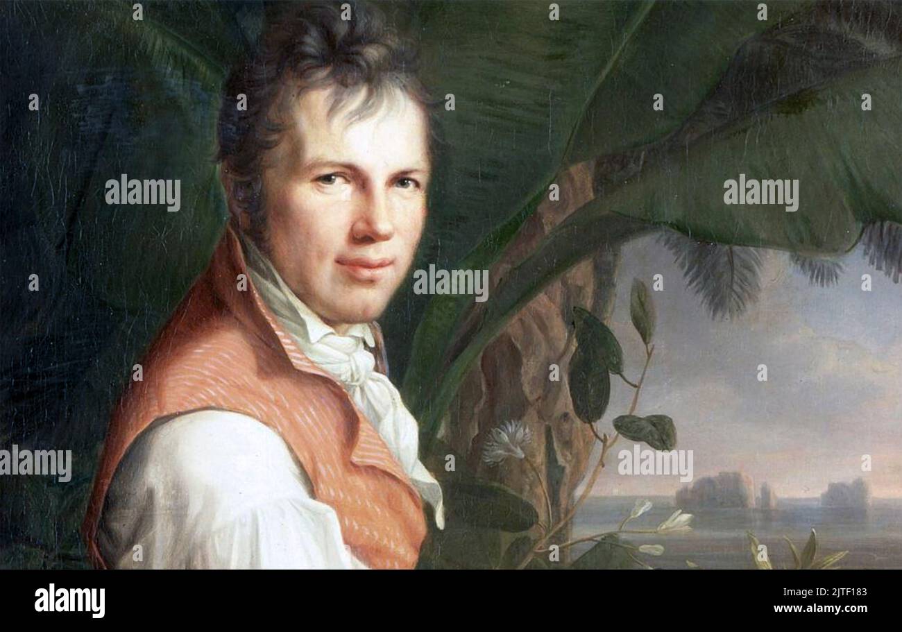 ALEXANDER von HUMBOLDT (1769-1859) naturalista y explorador alemán. Detalle del retrato de 1806 de Friedrich Weitsch Foto de stock