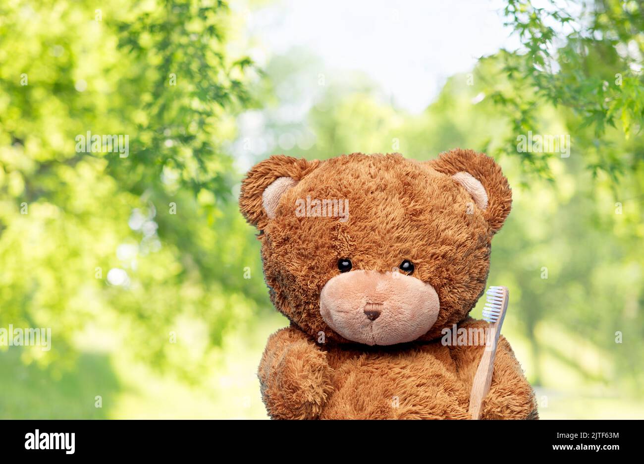 Osito de peluche con fondo azul de cepillo de dientes Fotograf a
