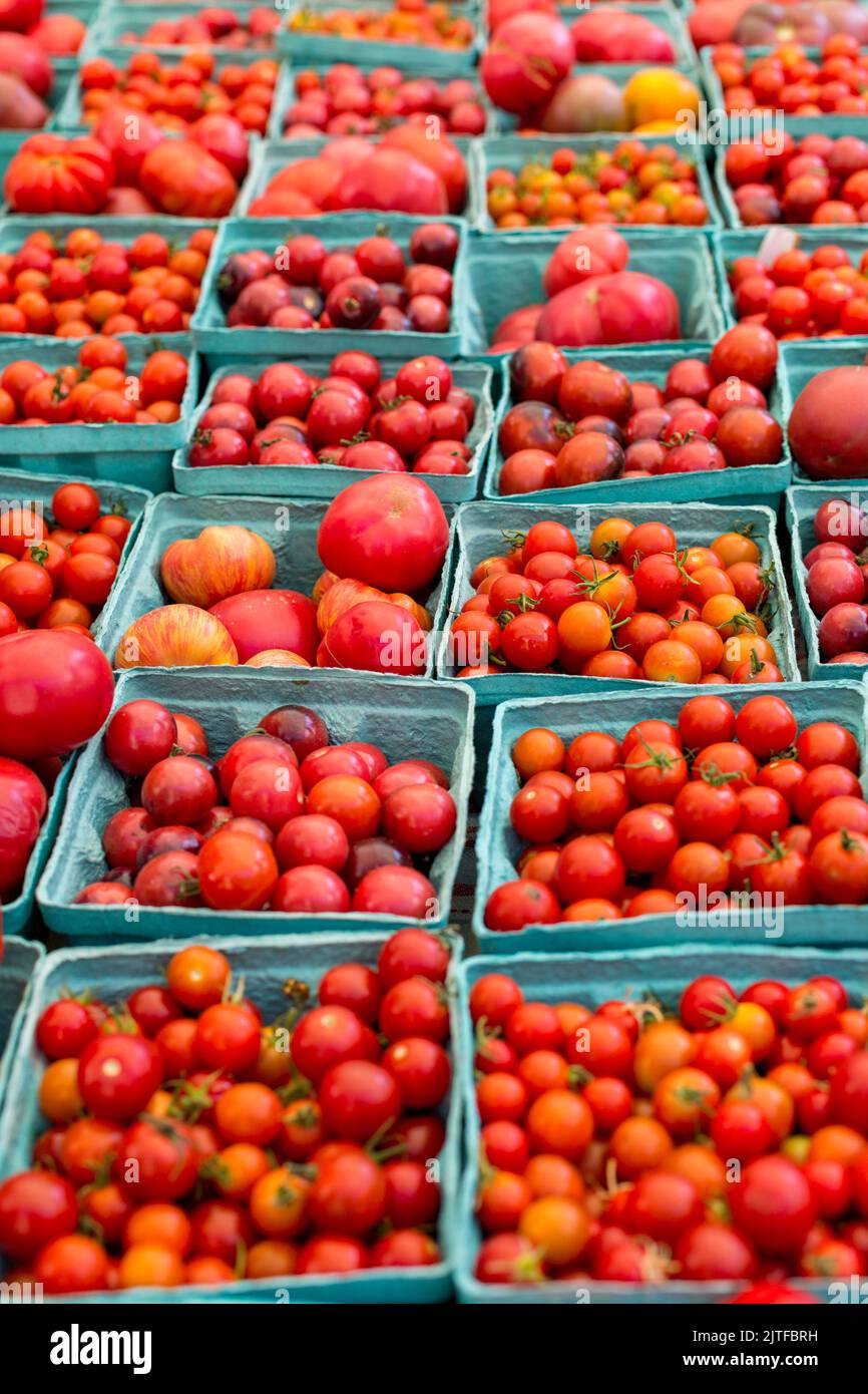 Ciudad de Nueva York, NY, EE.UU. Mercado de agricultores. Cestas de tomates Foto de stock
