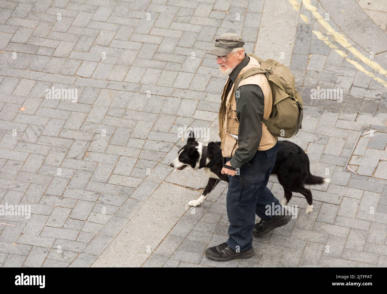 Un anciano y su perro cruzando la carretera en Londres, Inglaterra, Reino Unido Foto de stock