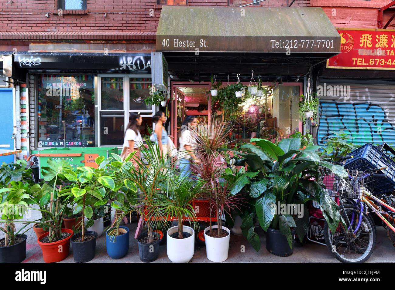 Joy's Flower Pot, 40 Hester St, Nueva York, Nueva York, Nueva York, foto del escaparate de una floristería, tienda de plantas en Manhattan Chinatown/Lower East Side. Foto de stock