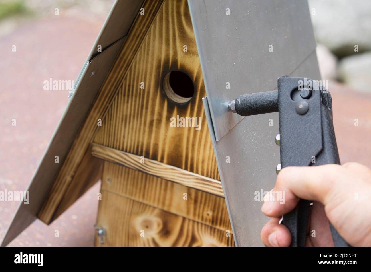 serie de cajas nido, paso 11/13: una placa de lámina de zinc que sobresale en la parte frontal protege la caja nido y el orificio de entrada de los efectos de la Foto de stock