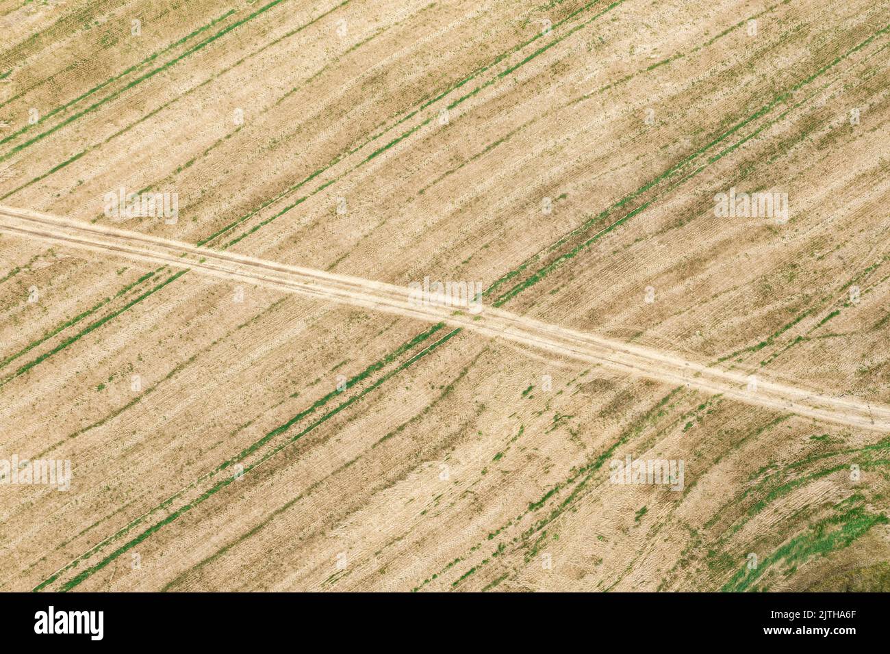 vista superior aérea del campo agrícola después de la cosecha de trigo con camino en un soleado día de otoño Foto de stock