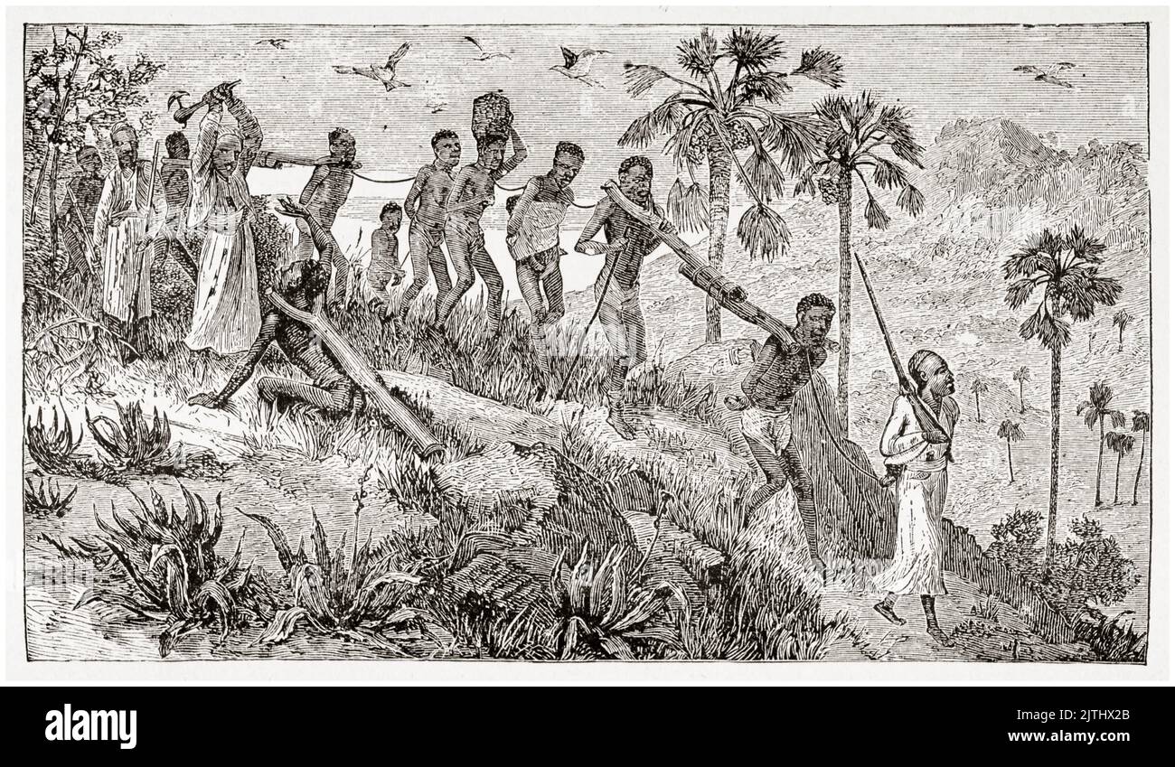 Los comerciantes de esclavos, marchando capturaron a hombres africanos a la costa, matando a los no aptos o discapacitados a lo largo del camino, ilustración de JL Nichols & Co, 1902 Foto de stock