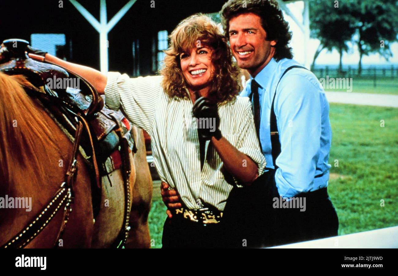 Dallas, Fernsehserie, EE.UU. 1978 - 1991, Darsteller: Linda Gray, Jared Martin Foto de stock