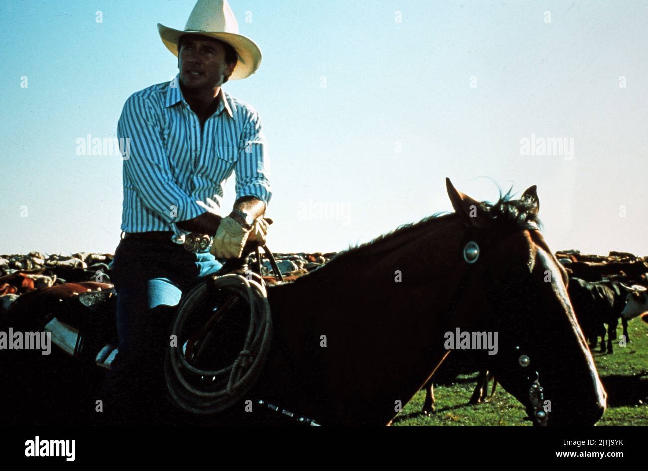 Dallas, Fernsehserie, USA 1978 - 1991, Darsteller: Patrick Duffy Foto de stock