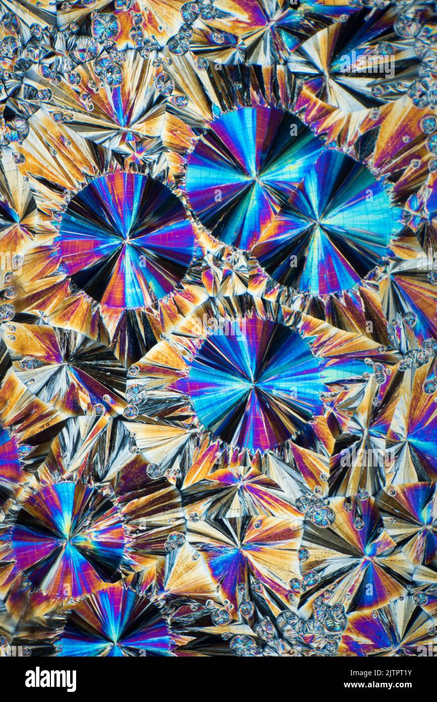 Salicene químico de deslizamiento de cristalina fundido, fotomicrografía con polarización cruzada Foto de stock
