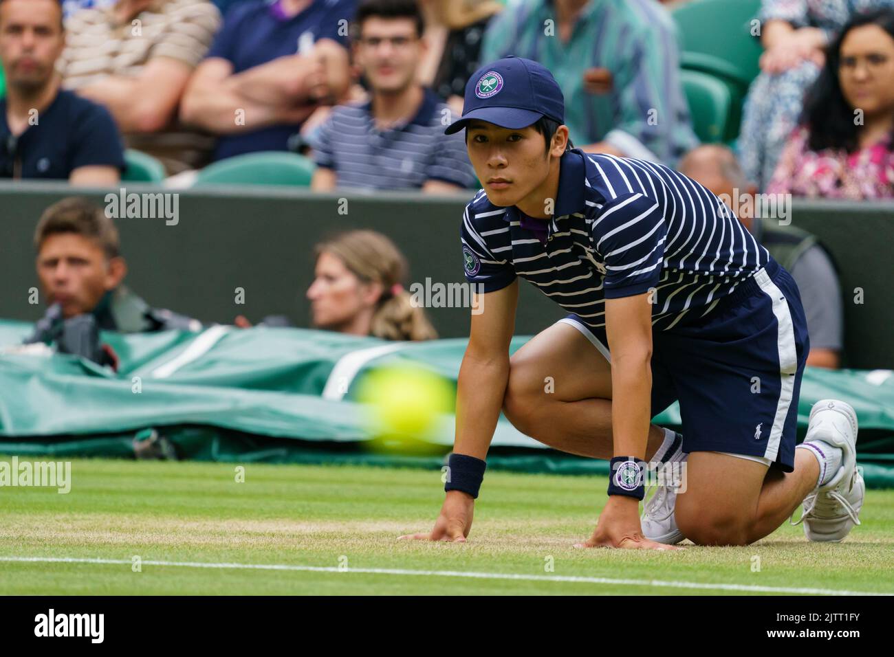 Pelota niños y niñas en el Campeonato de Wimbledon Foto de stock