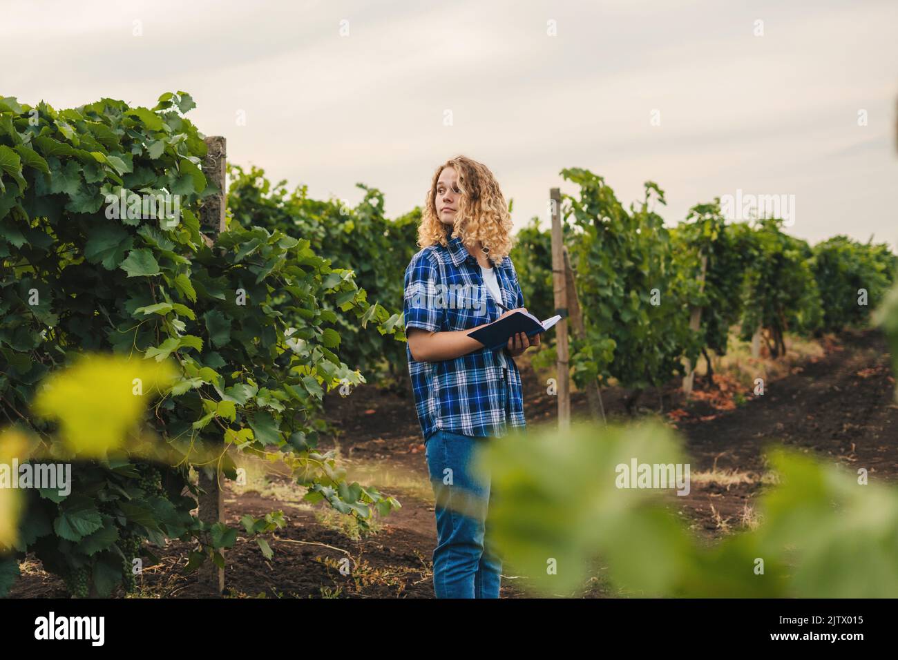 Agricultora joven de pelo rizado que utiliza un bloc de notas para registrar datos sobre las observaciones realizadas en los viñedos. Agricultura inteligente y agricultura de precisión Foto de stock