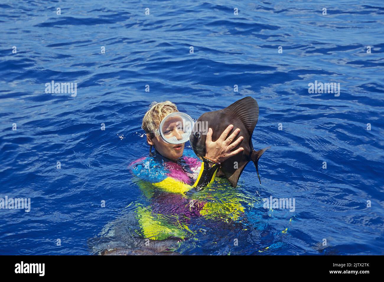 Batfish (Platax teira) saltando del agua directamente en las manos de un snorkeler, acceso reflexivo, Maldivas, el océano Índico, Asia Foto de stock