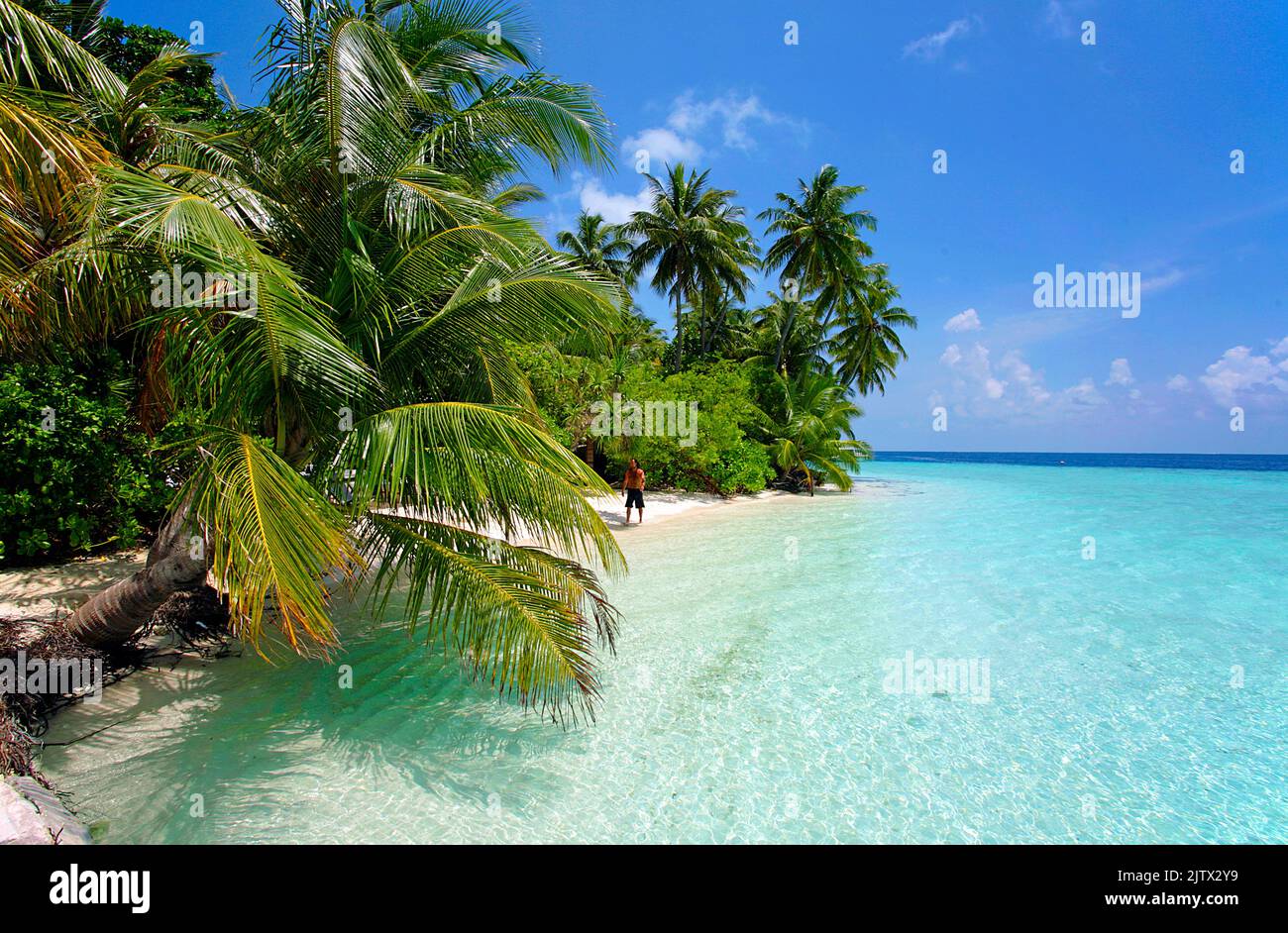 Playa, palmeras y la laguna turquesa de una isla maldiva deshabitada, Maldivas, Océano Indisano, Asia Foto de stock