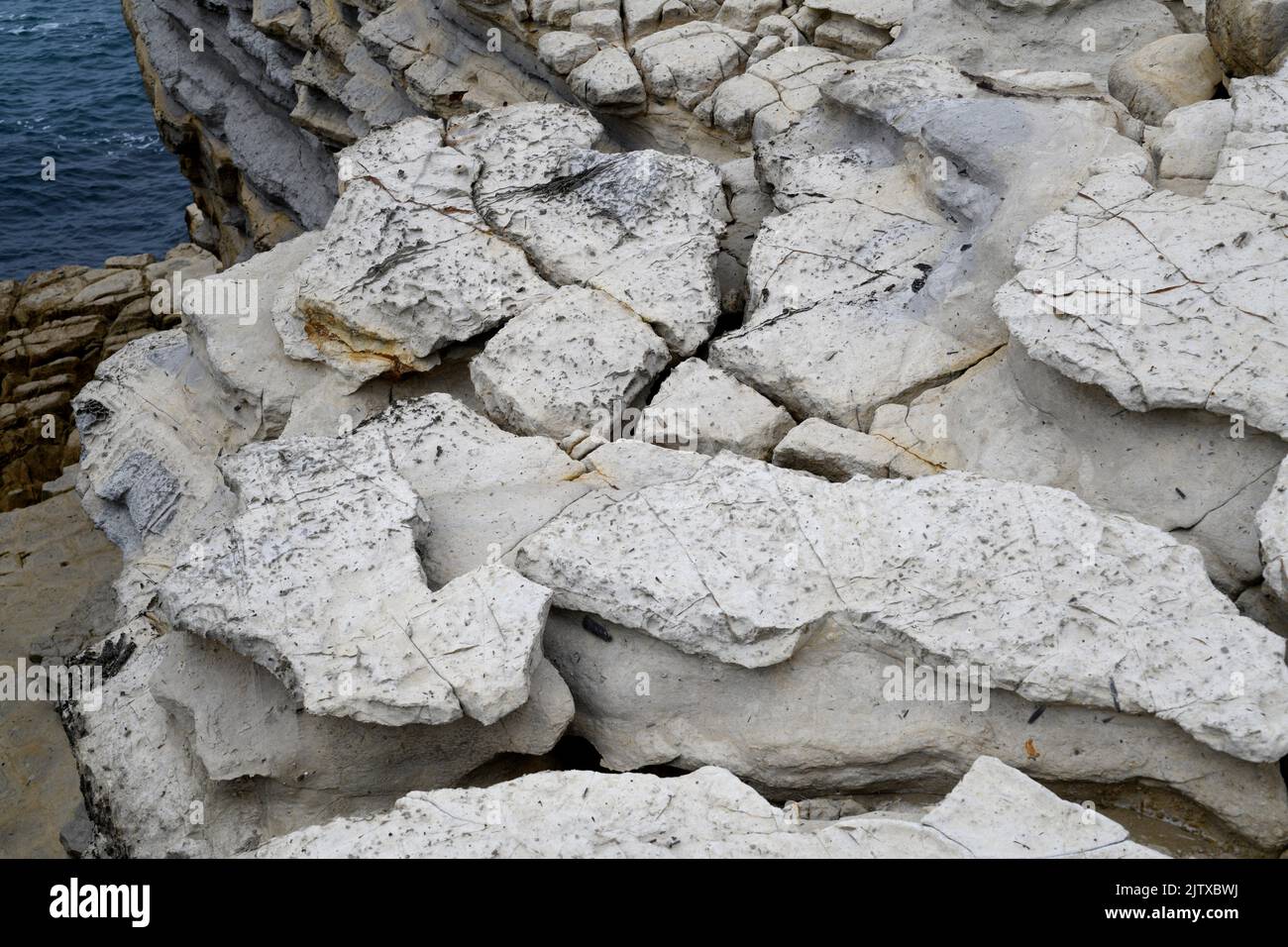 Belemnitas fósiles en Ponta do Trobao, Sitio Geológico de Importancia Mundial. Esta formación corresponde al toárico (Jurásico Inferior). Esta foto era Foto de stock