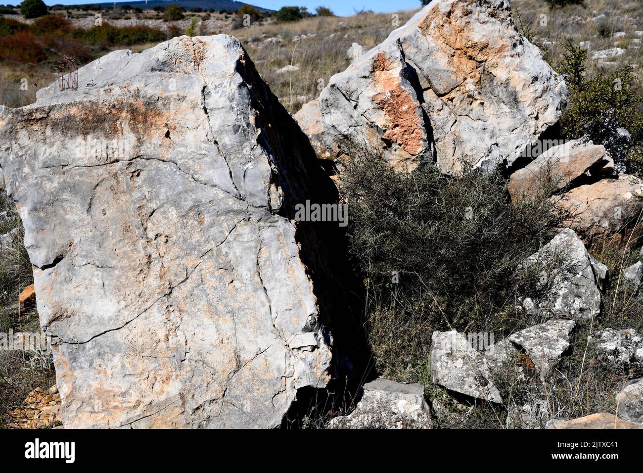 Piedra caliza negra del Jurásico. Esta foto fue tomada en Aldealpozo, Soria, Castilla y León, España. Foto de stock