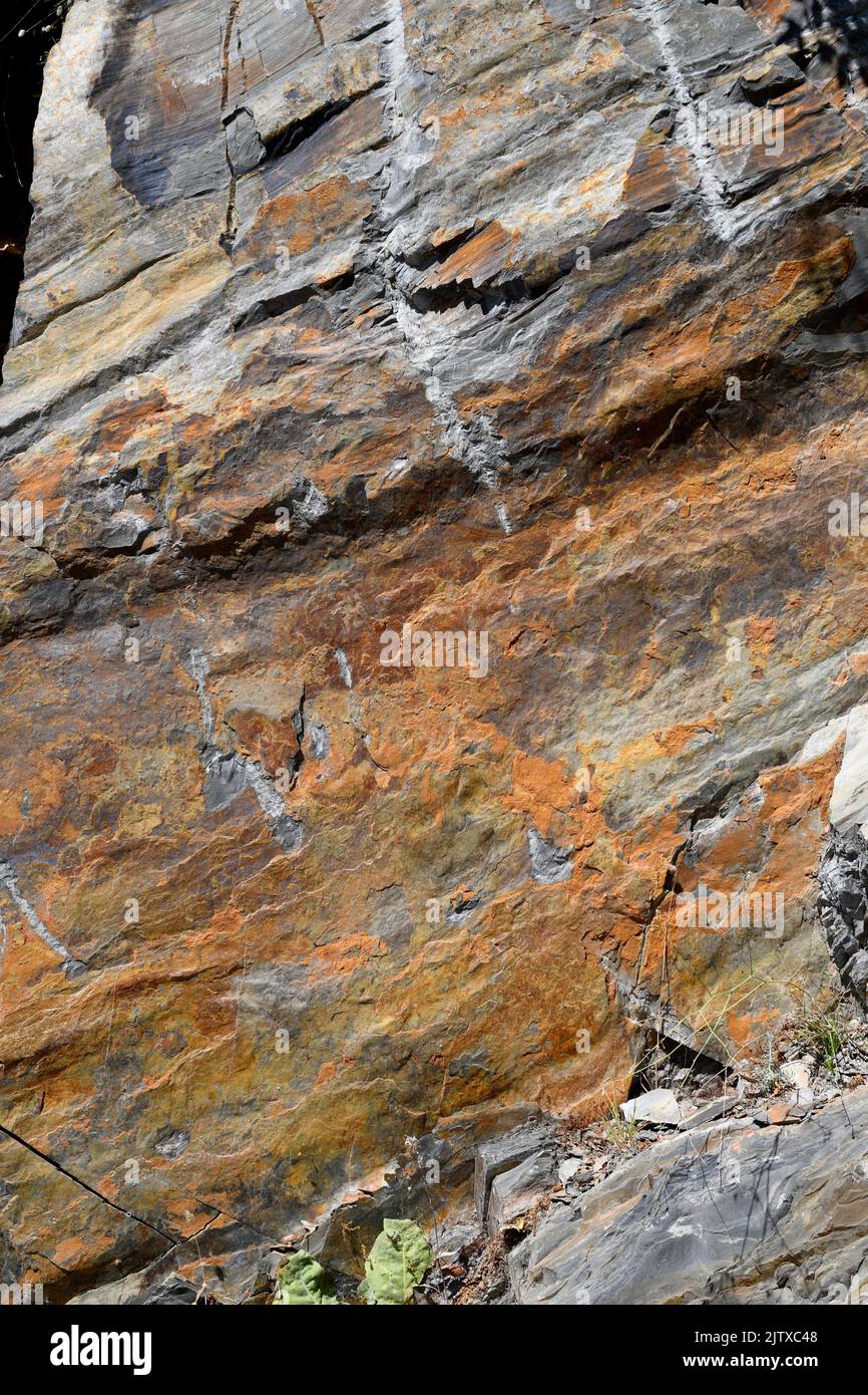Lutita cambriana con óxidos de hierro patina. Esta foto fue tomada en Pico Villuercas, Geoparque Villuercas-Ibarros-Jara, Cáceres, Extremadura, España. Foto de stock