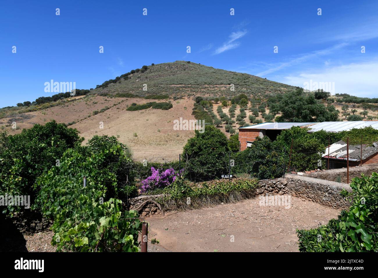 Batolith (cúpula de granito). Esta foto fue tomada en Cerro de San Cristóbal, Logrosan, Cáceres, Extremadura, España. Foto de stock