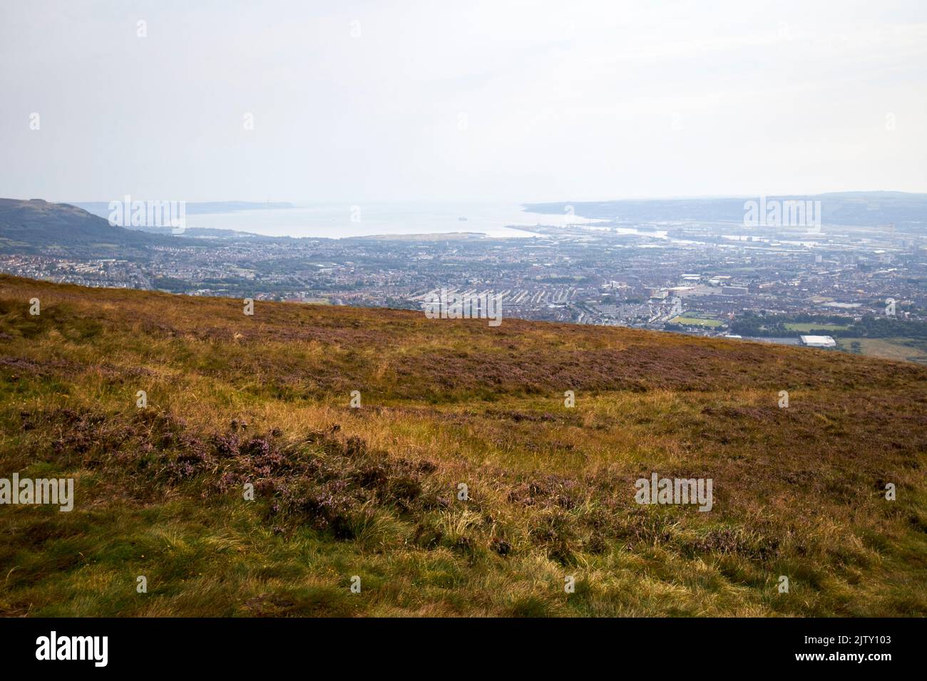 Vistas de Belfast y Belfast lough desde la cumbre de la montaña Black en divis y la montaña negra de belfast colinas con vistas al irel del norte de belfast Foto de stock