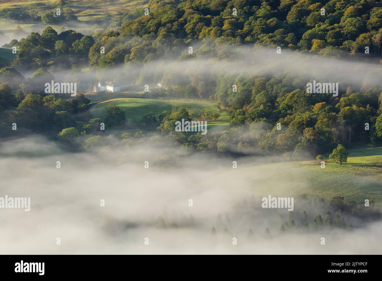 Vista Misty desde Loughrigg Fell, Lake District National Park, Cumbria, Inglaterra, Reino Unido Foto de stock