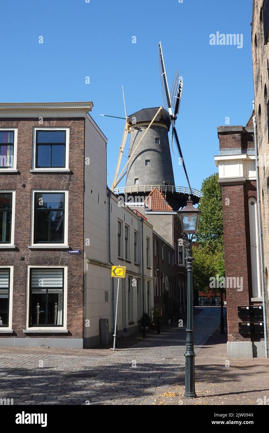 Schiedam, cerca de Rotterdam, Países Bajos, Europa. Foto de stock
