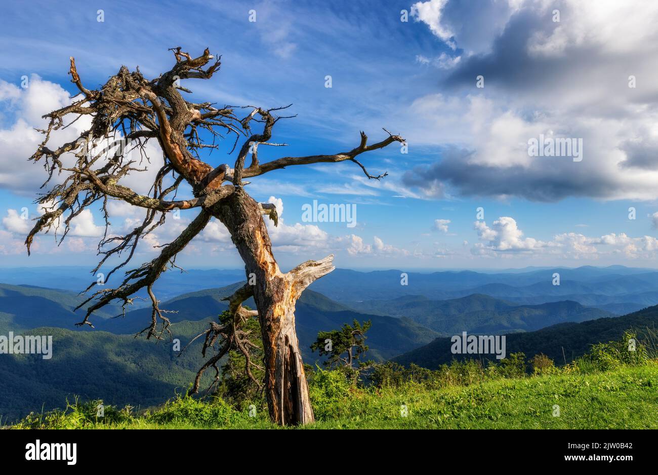 Impresionantes vistas panorámicas de las Montañas Blue Ridge mientras uno viaja por Blue Ridge Parkway en Carolina del Norte, Estados Unidos. Foto de stock