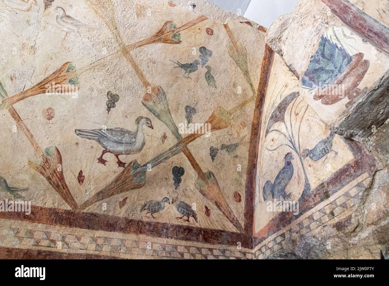 Boveda de Mera, España. El Templo Romano de Santalla o Santa Eulalia, dedicado a la diosa Cibele. Frescos de aves Foto de stock