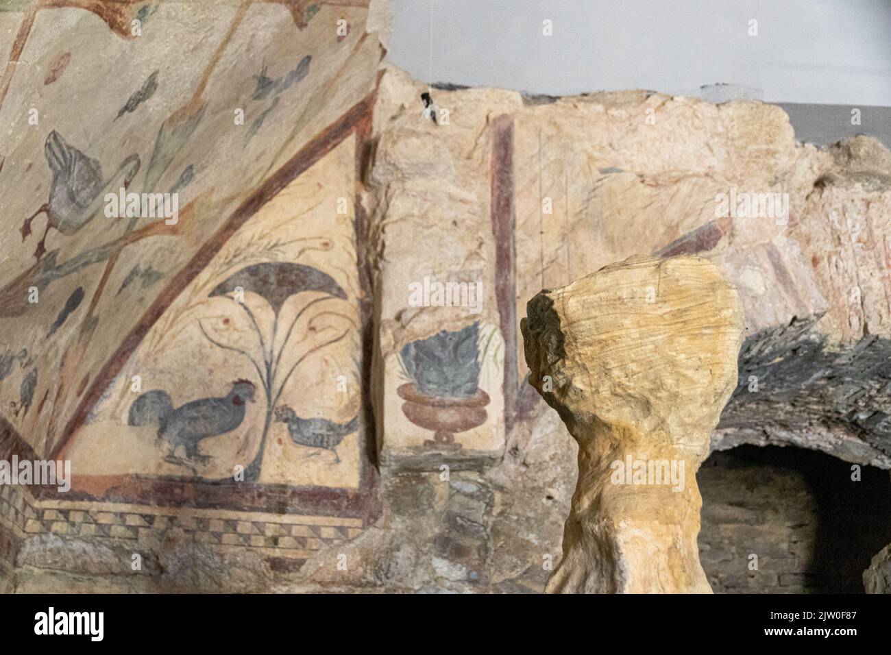 Boveda de Mera, España. El Templo Romano de Santalla o Santa Eulalia, dedicado a la diosa Cibele. Frescos de aves Foto de stock
