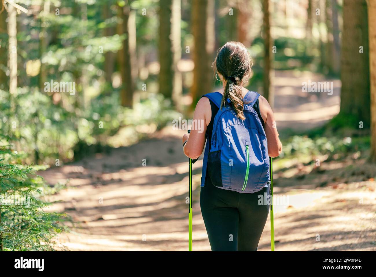 La mujer camina por el bosque. Vista desde la parte posterior, primer plano. Lleva una mochila y bastones de senderismo. Bosque ruta de senderismo Foto de stock
