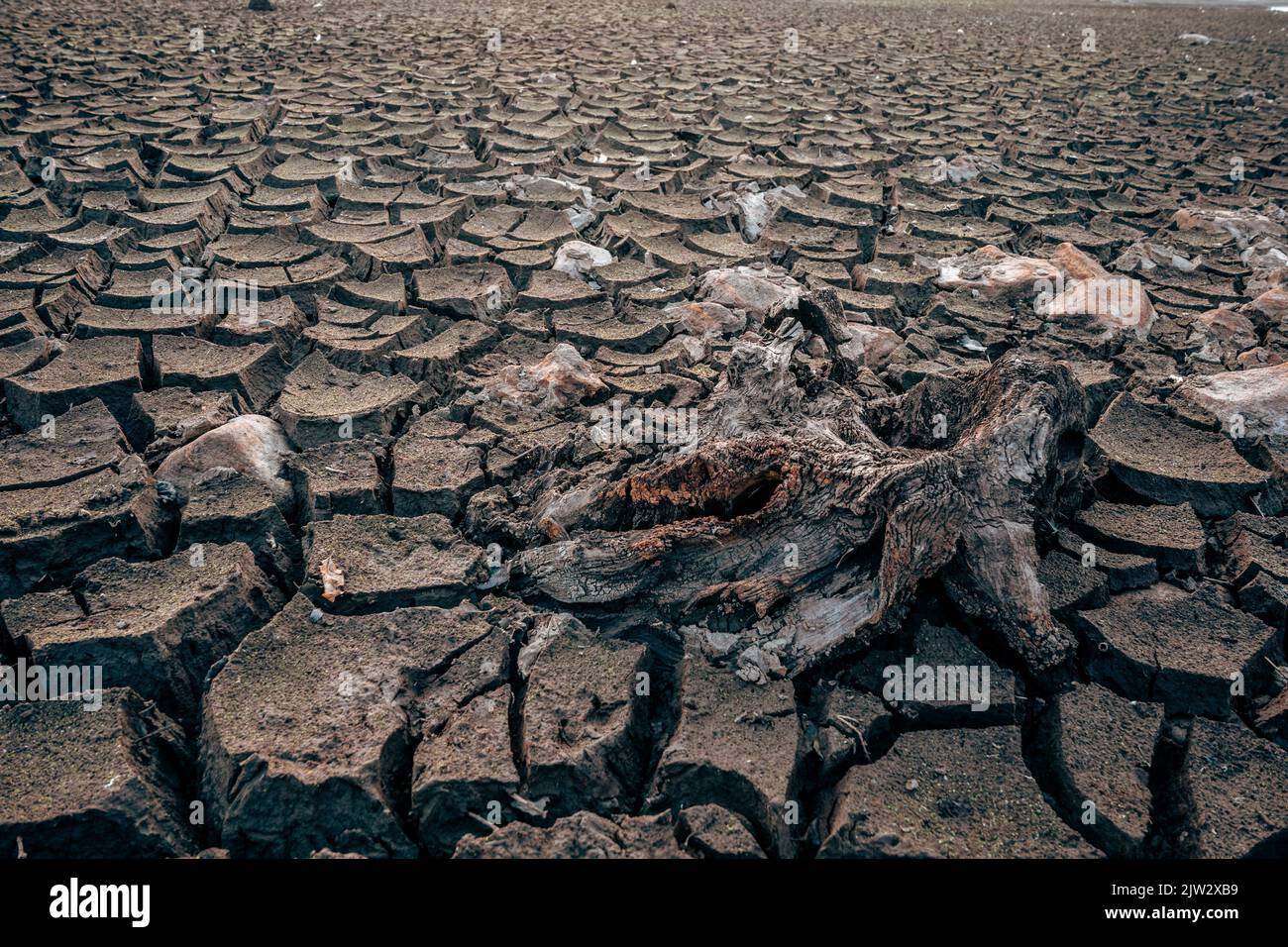 Suelo del lago de barro seco, Bajos niveles de agua durante la sequía Foto de stock