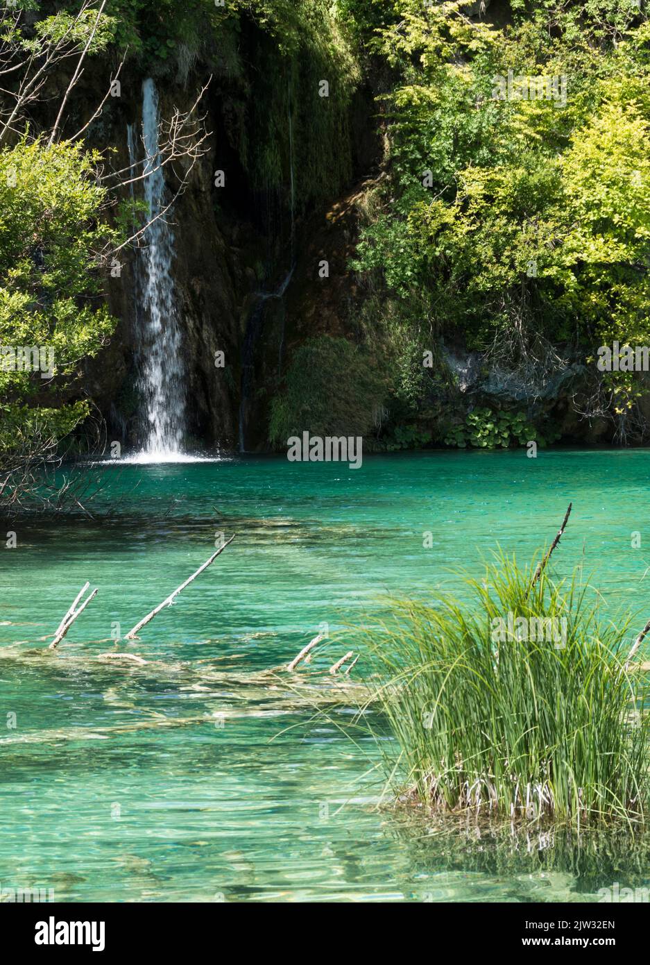 Pequeña cascada salpicando desde las rocas en una piscina en el Parque Nacional de los Lagos de Plitvice, Croacia, Europa. Foto de stock
