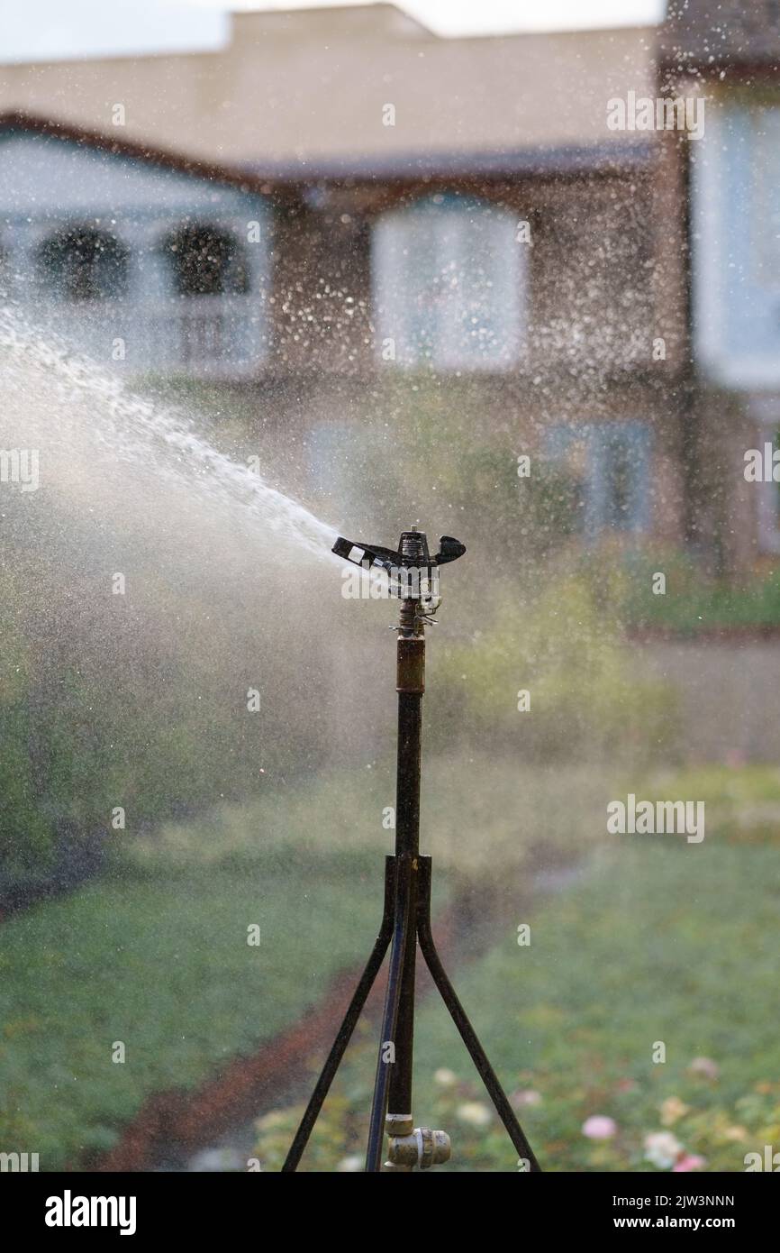 Rociador de agua de plantas fotografías e imágenes de alta resolución -  Alamy