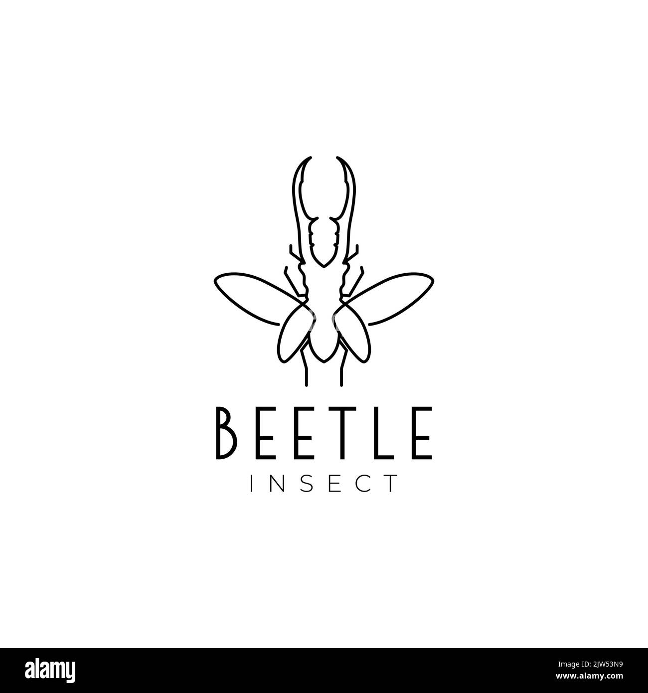diseño de logotipo de escarabajo macho de insectos Ilustración del Vector