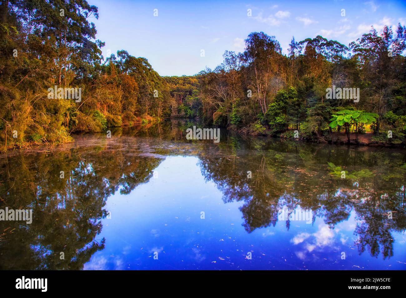 La superficie todavía reflectante de Lane cubre el río en el parque nacional de la ciudad de Sydney, Australia, al amanecer. Foto de stock