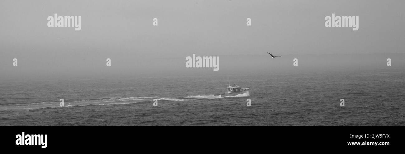 Una imagen artística en B&W de un barco langosta navegando a lo largo de la costa de Maine en una mañana brumosa junto al Parque Nacional Acadia, Mount Desert Island, Maine, Estados Unidos Foto de stock