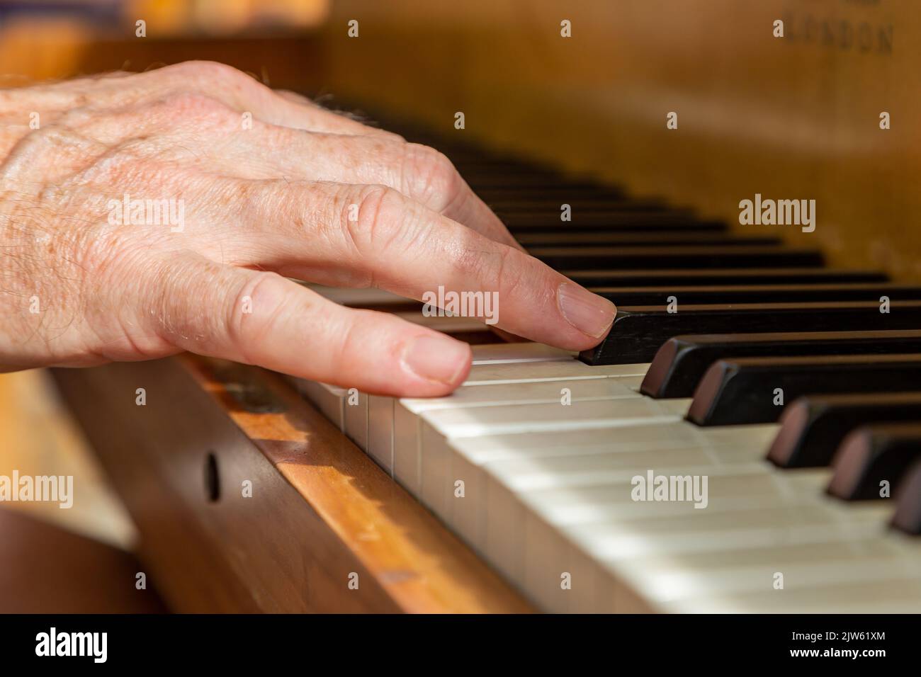 Un primer plano de las manos en las teclas del piano, con una profundidad de campo reducida Foto de stock