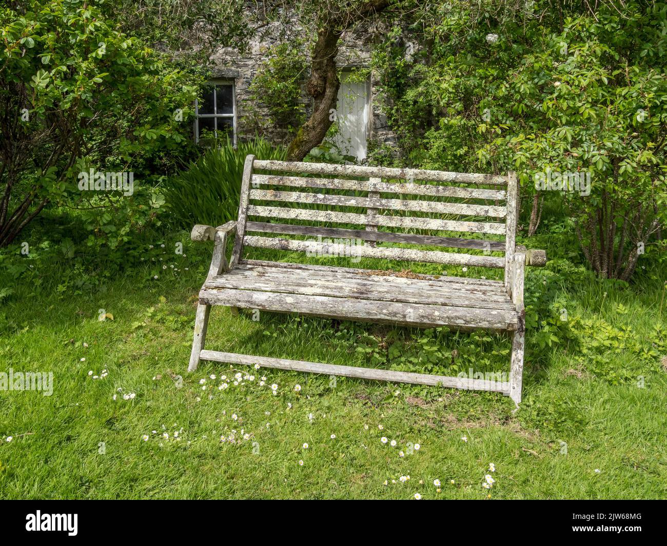 Antiguo asiento de madera con banco cubierto con liquen Colonsay House Gardens, Isla de Colonsay, Escocia, Reino Unido. Foto de stock