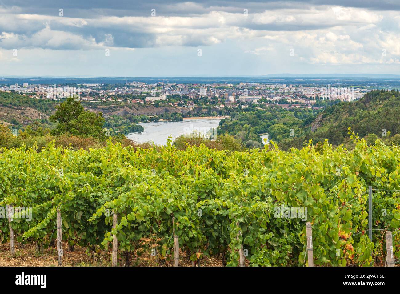 Dijon está redesarrollando sus antiguos viñedos de la ciudad en la meseta de Cras Foto de stock