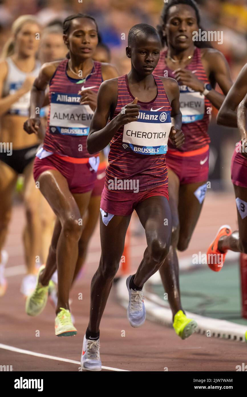 Faith Cherotich de Kenia compitiendo en la 3000m steeplechase femenina en el Allianz Memorial Van Damme 2022, parte de la serie 2022 Diamond League en Foto de stock