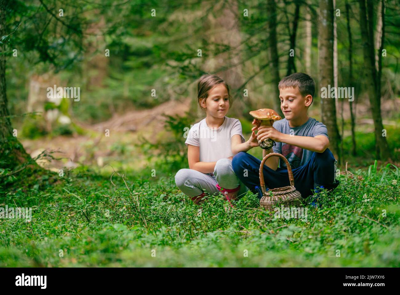 Una niña y un niño están sosteniendo un hongo boletus y sonriendo en el bosque Foto de stock