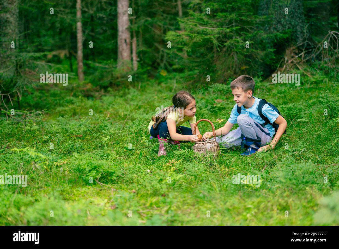 Una niña y un niño con botas están sentados y poniendo en una canasta las setas que encontraron en el bosque Foto de stock